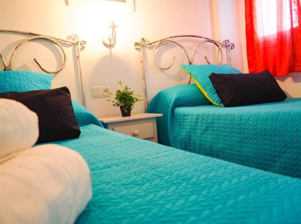Conilplus Apartment Azucena III Conil De La Frontera Exteriör bild